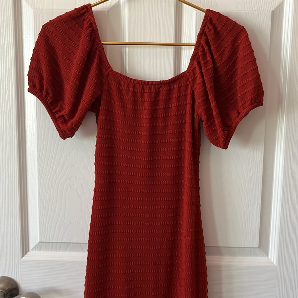 REWIND Rust Dress - Picture 5 of 9
